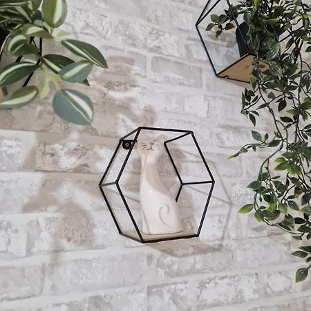 מלון סובאטה Casa Balint מראה חיצוני תמונה