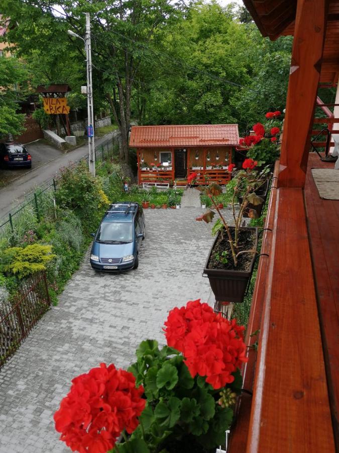 מלון סובאטה Casa Balint מראה חיצוני תמונה